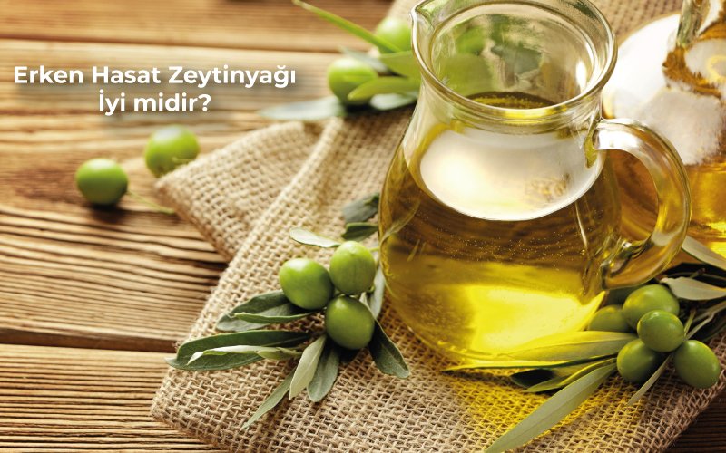 erken hasat zeytinyağı iyi midir